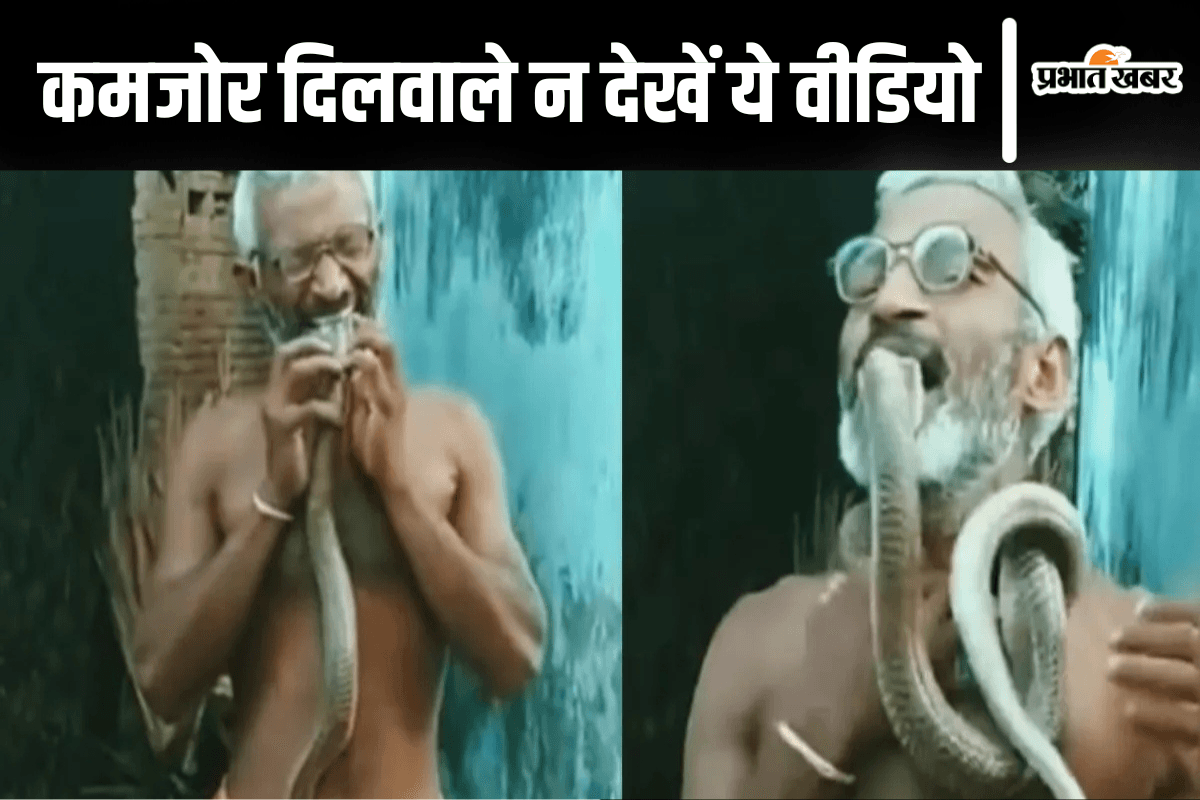 सांप का फन दांतों से दबाकर चचा ने दिखा दी बाजीगरी, कमजोर दिलवालों के लिए नहीं है ये वीडियो