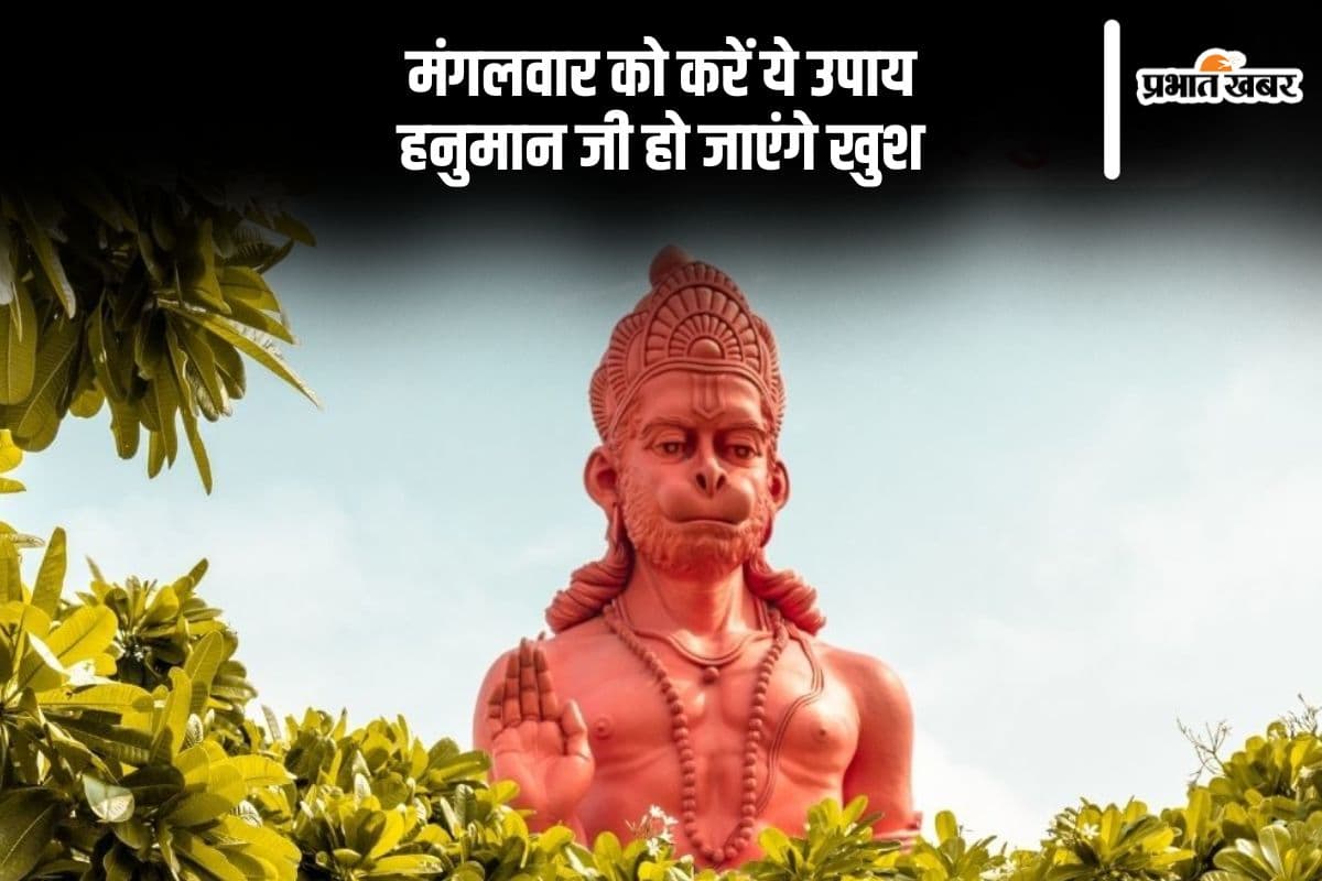 मंगलवार को जरूर करें ये  काम, जीवनभर रहेगी हनुमानजी की कृपा