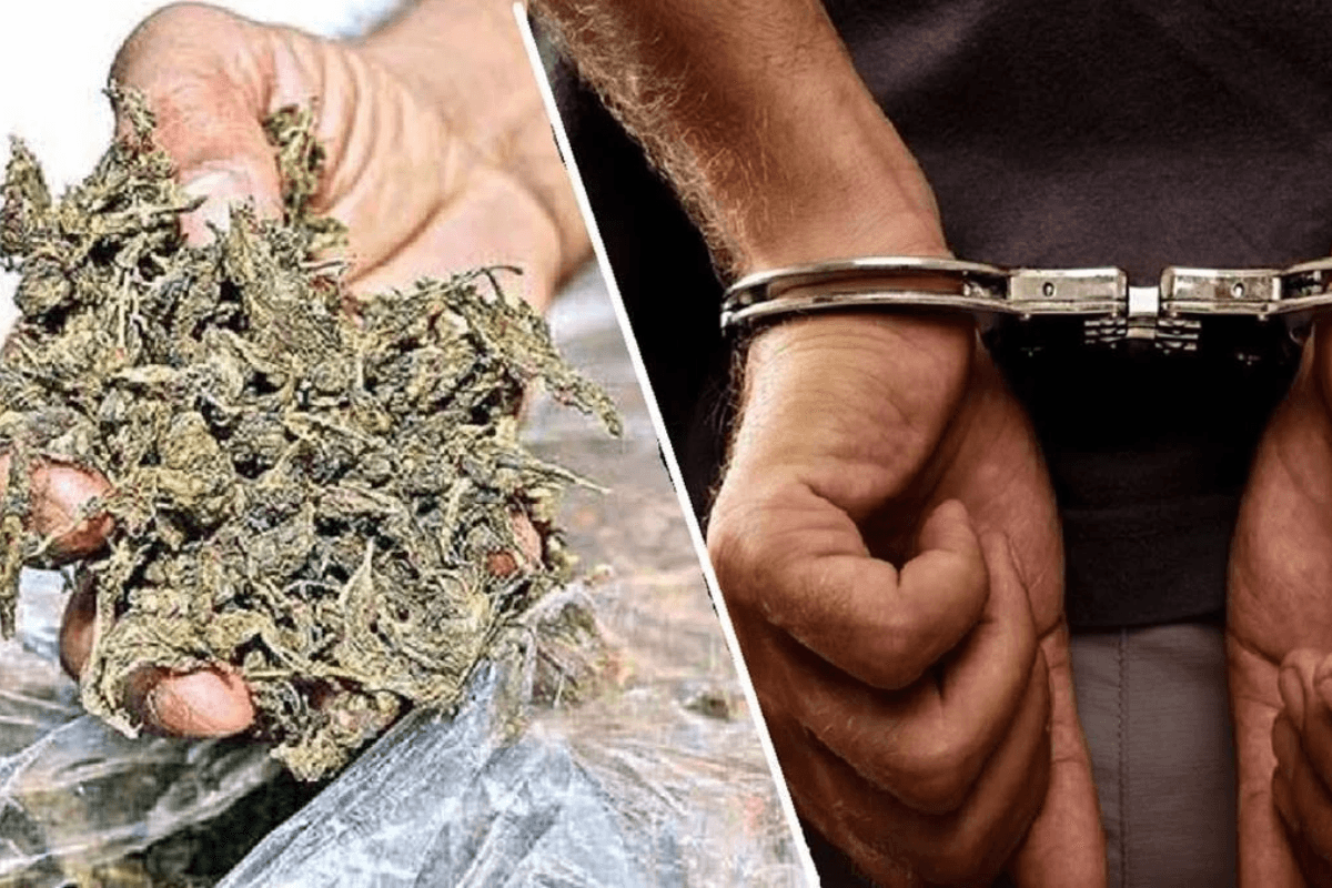 Muzaffarpur News: झाड़ू लोड कंटेनर से 1.25 करोड़ का गांजा जब्त, गुवाहाटी से गोपालगंज ले जा रहा था खेप