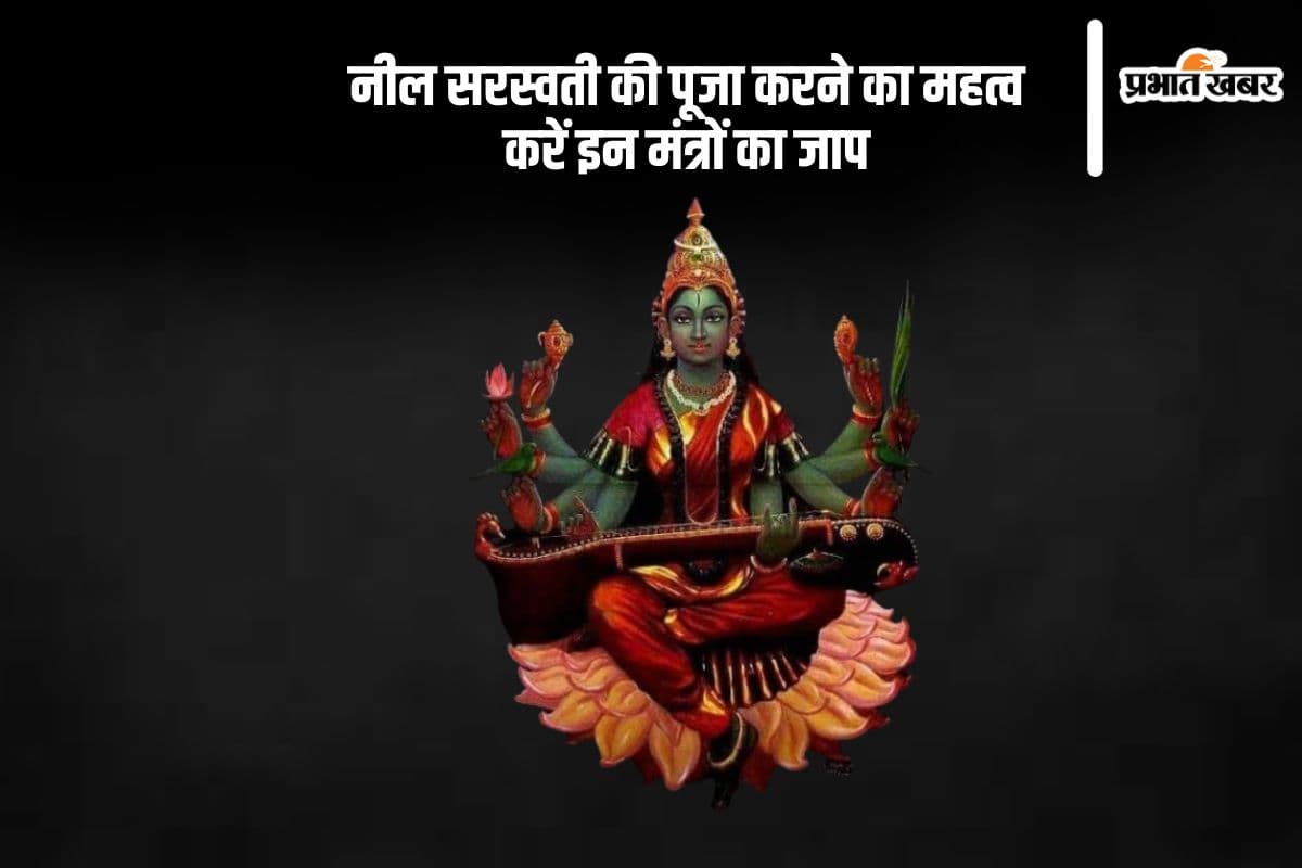 नील सरस्वती की पूजा करने का महत्व, करें इन मंत्रों का जाप