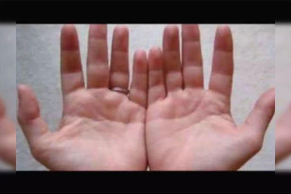 Numbers For Success: हथेली पर लिखें इन अंकों को, झट से मिलेगी नौकरी और सफलता