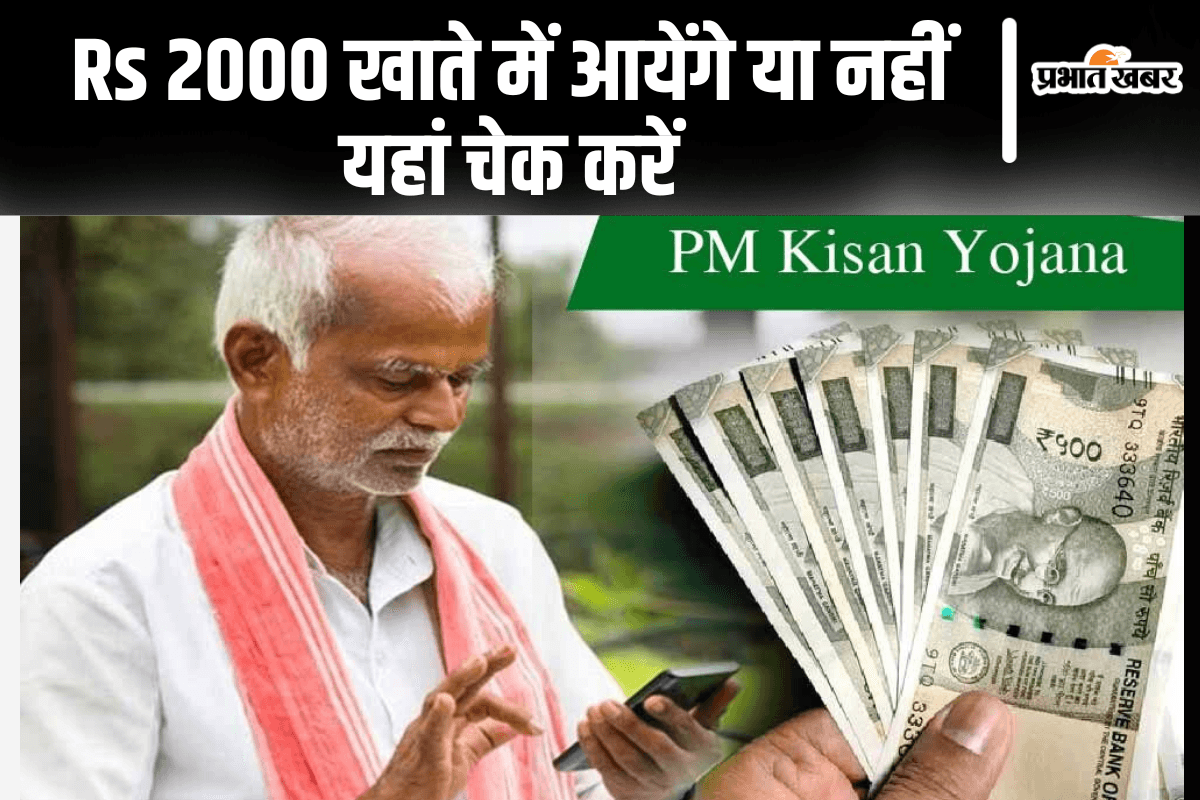 PM Kisan Yojana 19th Installment: 24 फरवरी को आपके खाते में 2 हजार आयेंगे या नहीं, ऐसे चेक करें ऑनलाइन