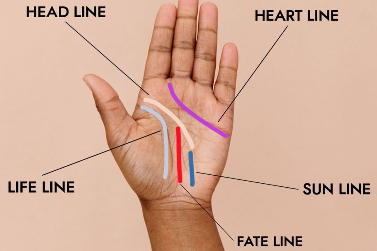 Palmistry: धनवान व्यक्ति के हाथों में होती हैं ये दो रेखाएं, कम समय में मिल जाती है सफलता