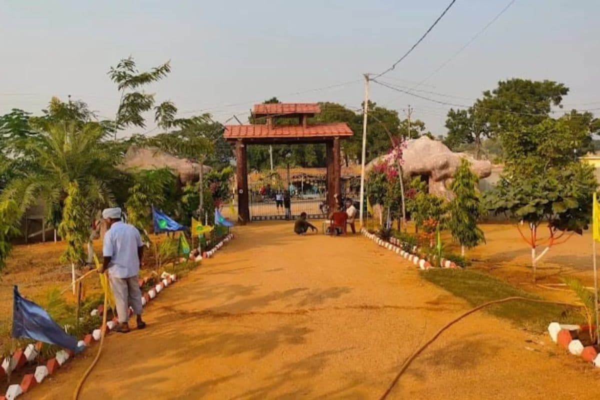 बिहार के इस जिले में बनेगा राज्य का पहला बर्ड म्यूजियम, सीएम नीतीश के मंत्री ने किया ऐलान 