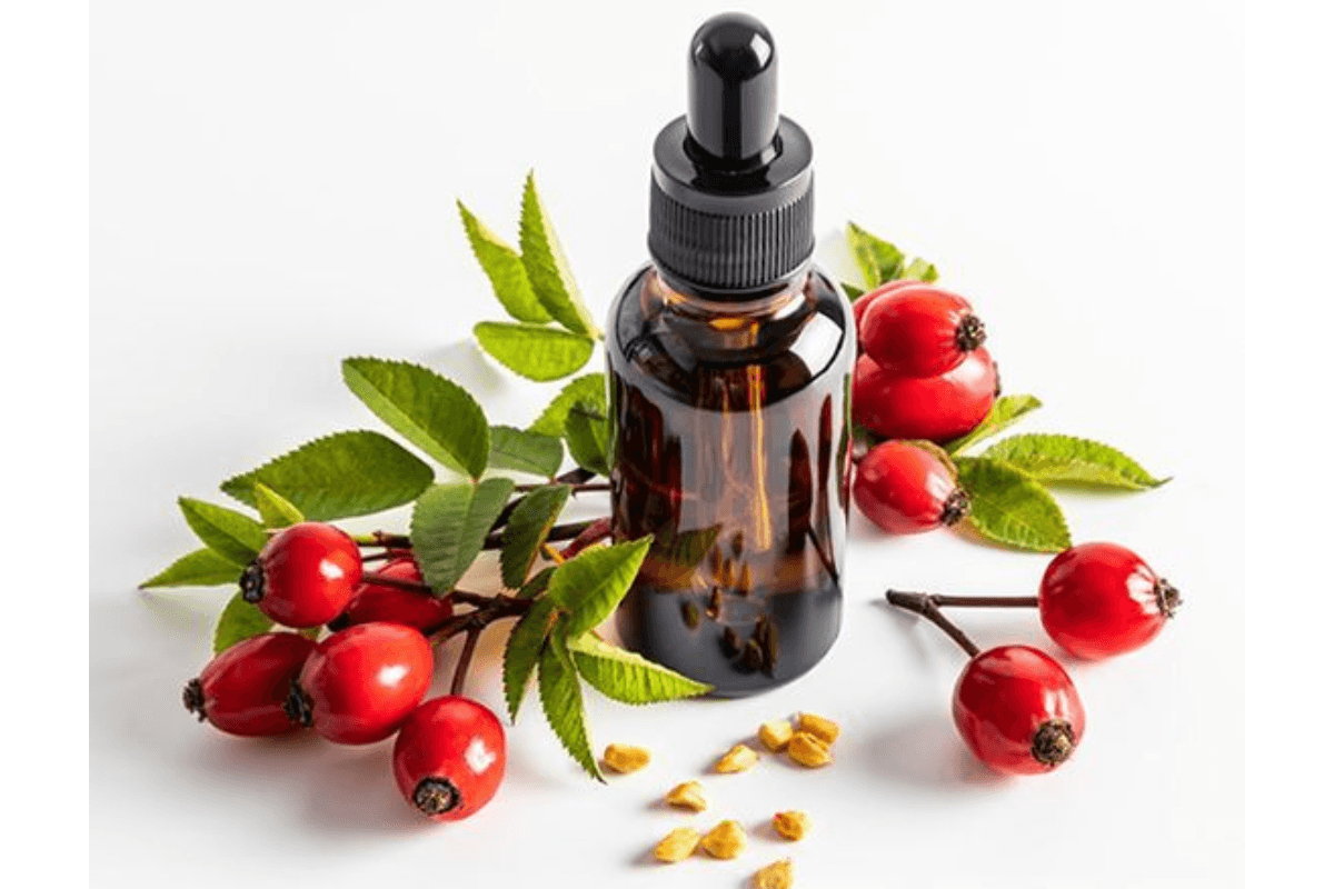 5 Best oil for Facial Massage: चेहरे की मसाज के लिए कौन सा तेल है बेस्ट- जानें 5 फायदेमंद तेल और उनके लाभ