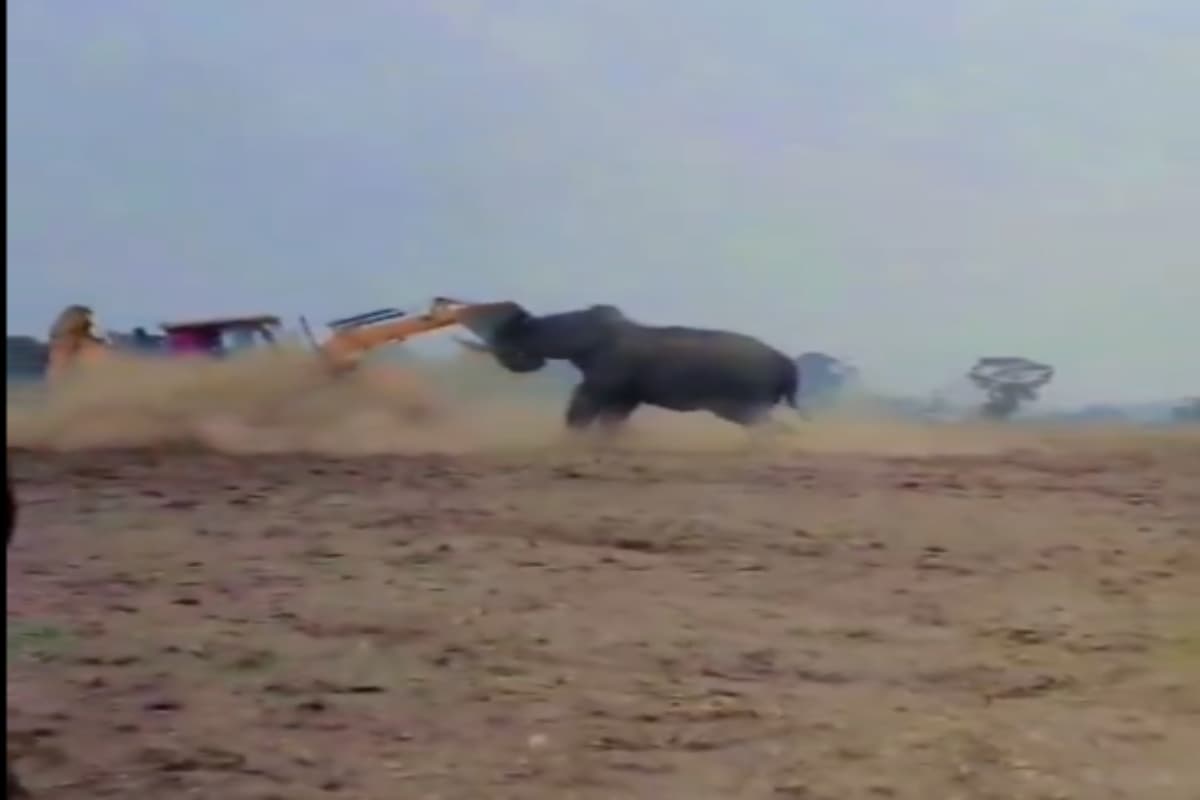 Viral video: गुस्साए हाथी ने मारी जेसीबी को जोरदार टक्कर, वीडियो हुआ वायरल