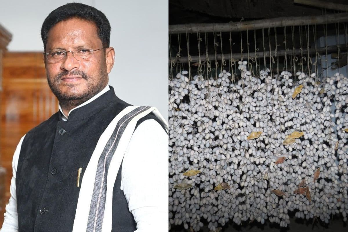 तसर उद्योग के लिए विशेष पैकेज की मांग, विधायक दशरथ गागराई ने सदन में उठाया मुद्दा