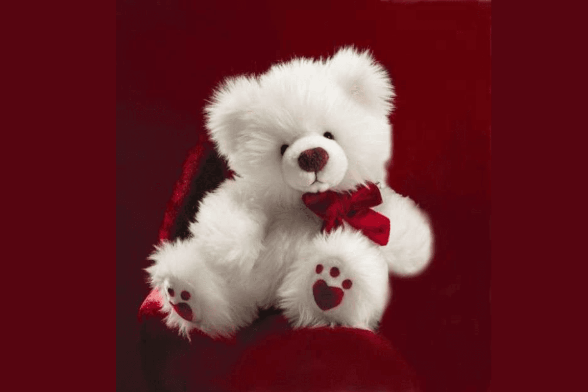 Teddy Day Tips: टेडी बियर गिफ्ट करने से पहले जान लें ये 5 बातें, वरना ना हो जाए गलती!