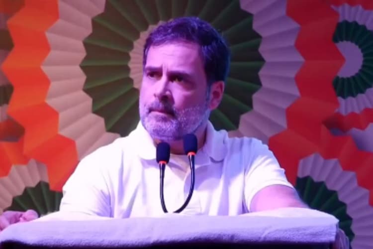 बिहार में हुए 'जाति जनगणना' पर राहुल गांधी को नहीं है भरोसा, कहा- सरकार में आते ही कराएंगे गिनती