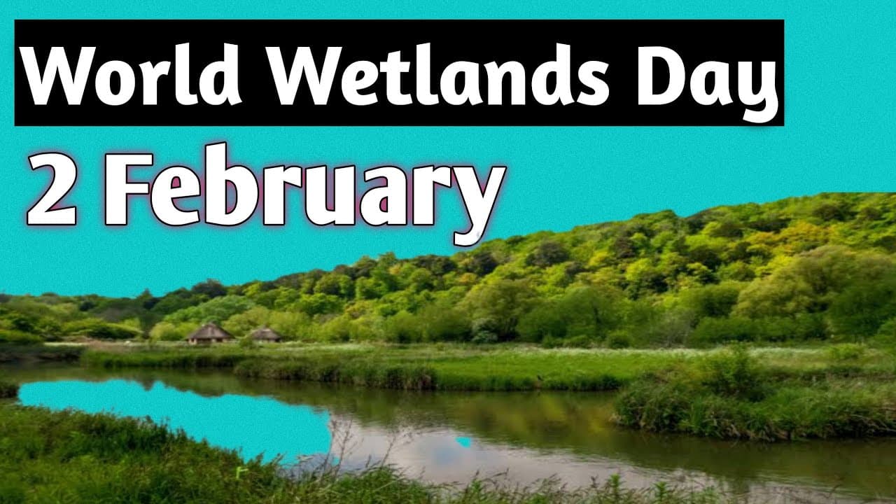 World Wetlands Day 2025 : 2 फरवरी मनाया जाता है आविश्व आर्द्रभूमि दिवस, जानें कुछ महत्वपूर्ण बातें