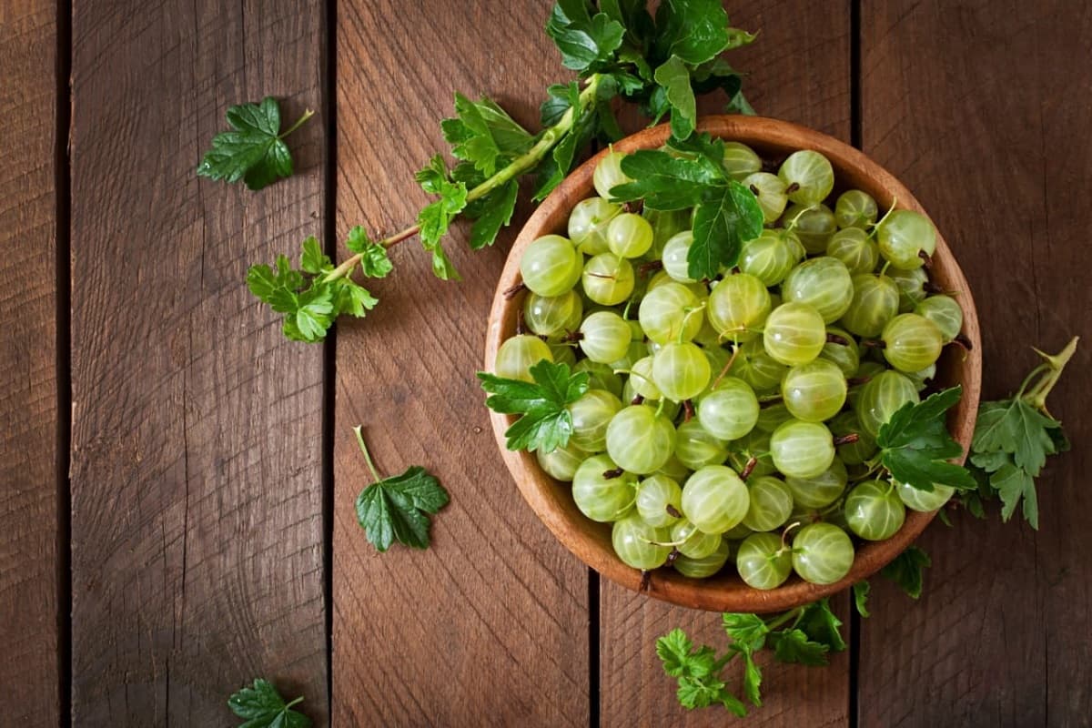 Amla Benefits: दिमाग को तेज और बुढ़ापा को बैन कर देगा आंवला, आज से खाना शुरू करें