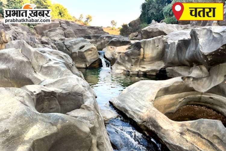 मनाही के बाद भी कई क्षेत्रो में की गयी है पोस्ते की खेती