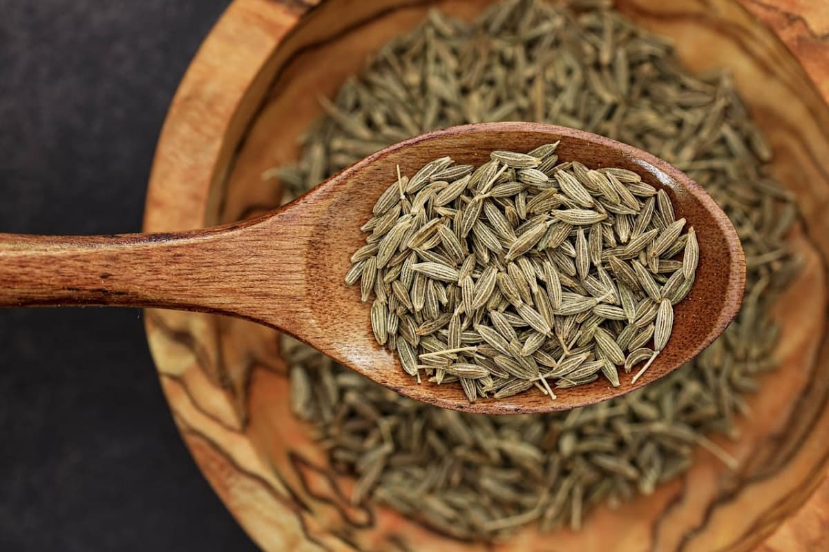 Cumin Health Benefits: महज मसाला समझने की भूल ना करें , आपको स्वस्थ भी रखेगा एक चम्मच जीरा