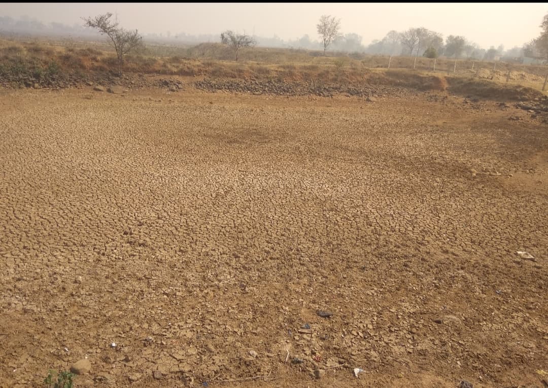 Chaibasa News : दलपोसी के कालिंदी टोला का तालाब सूखा, 500 लोगों को जलसंकट