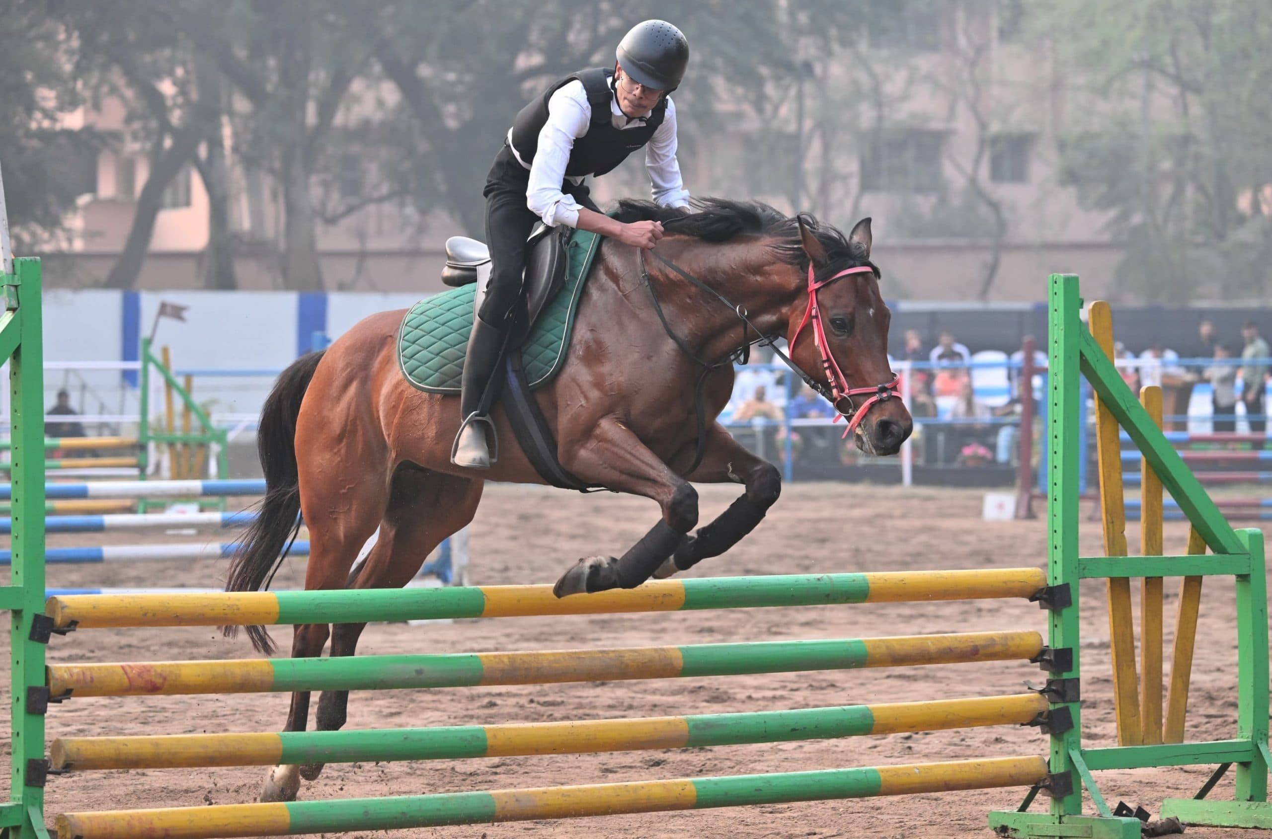 Jamshedpur horse show : हॉर्स शो में शहर के युवा घुड़सवारों ने दिखाए हैरतंगेज कारनामे
