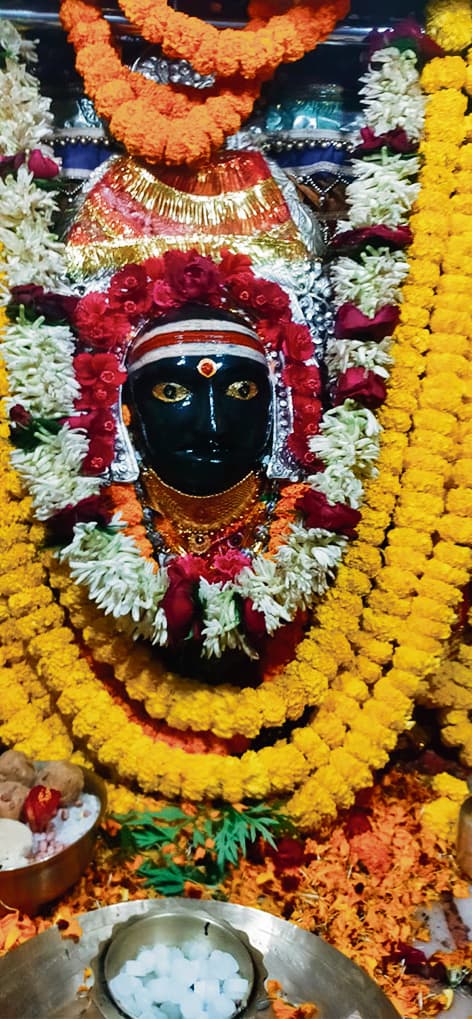 Gopalganj News  : गुप्त नवरात्र के चौथे दिन मां के दर्शन कर निहाल हुए भक्त, मां भुवनेश्वरी के स्वरूप की हुई आराधना