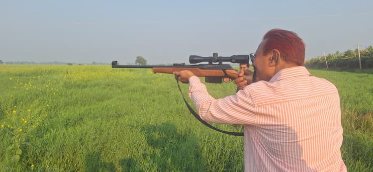 फसल बचाने के लिए शूटरों ने 35 नीलगायों को मार गिराया