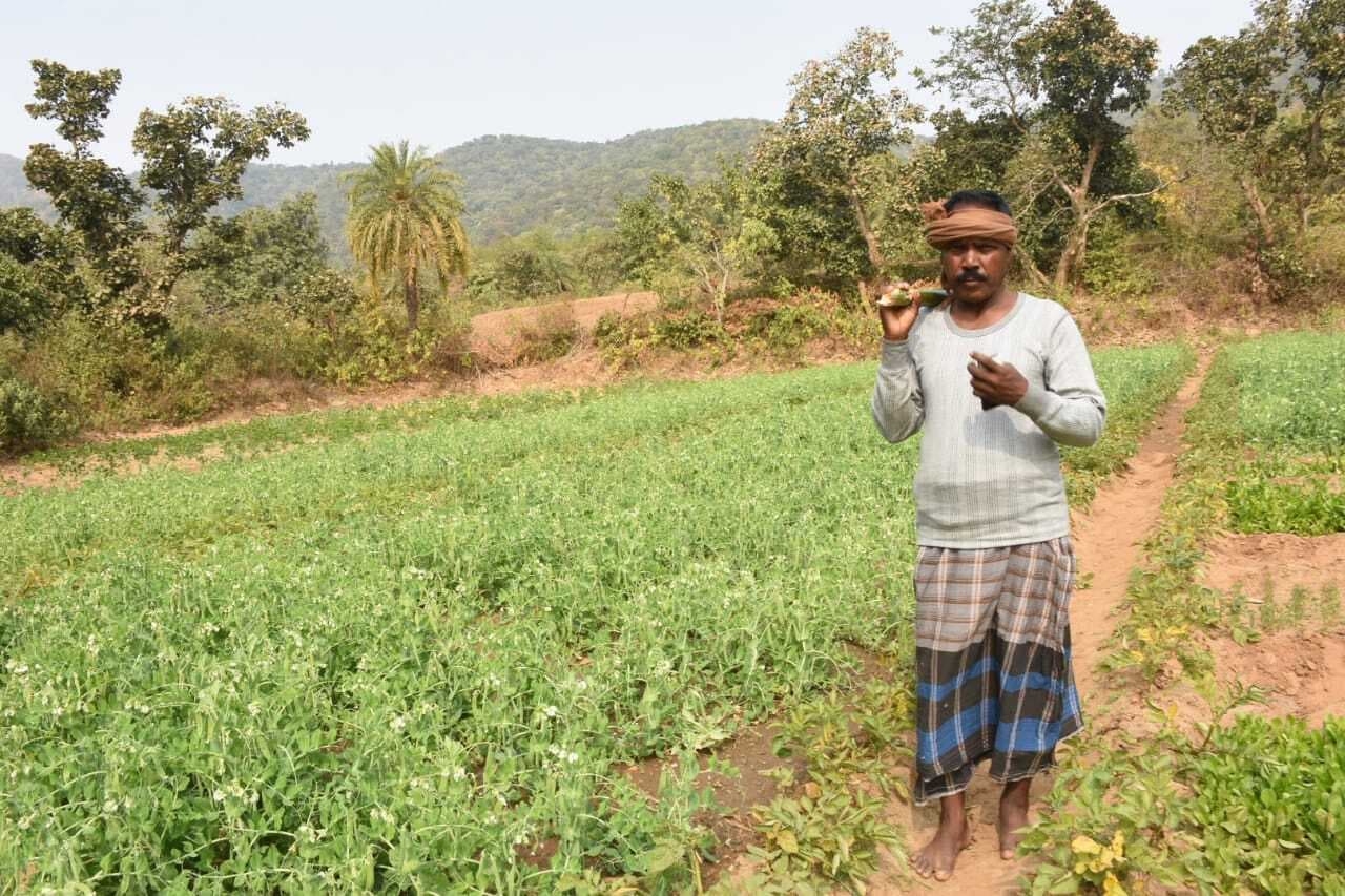 Dhanbad News : बंदूक की जगह थामा कुदाल, मेहनत के बल हासिल किया प्रगतिशील किसान का दर्जा