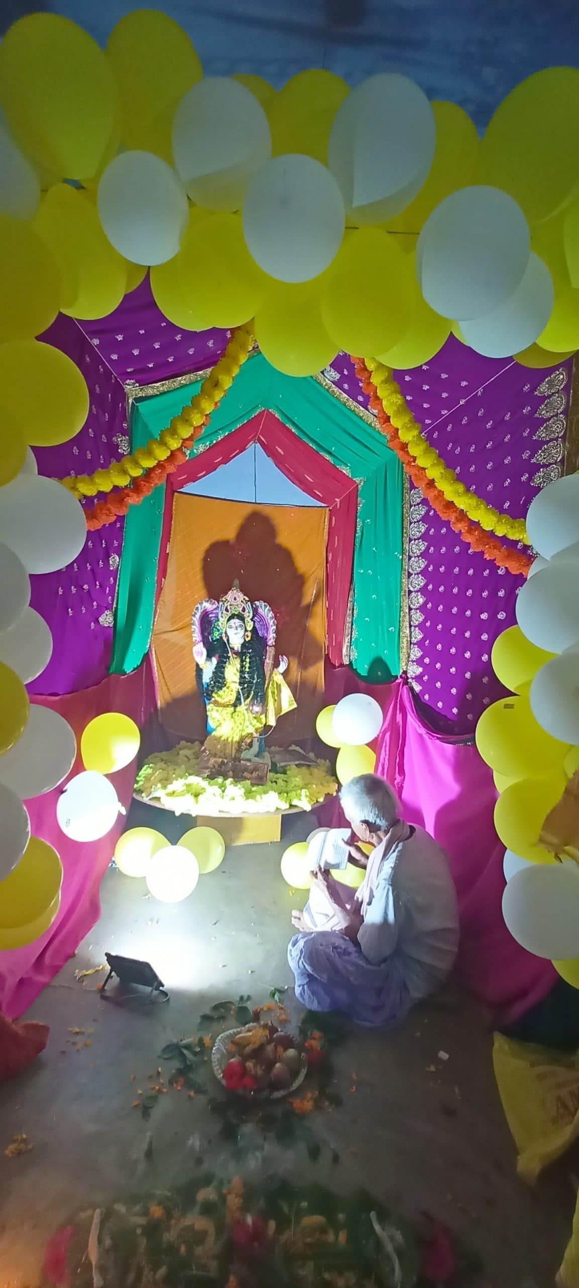 चितरा कोलियरी में धूमधाम से हुई विद्या की देवी की आराधना