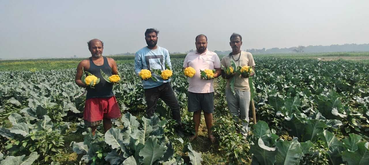 पारंपरिक खेती से आगे बढ़कर नई फसलों की ओर रूख कर रहे किसान