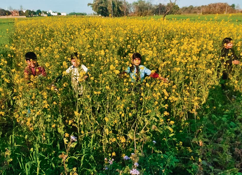 Gopalganj News  : मौसम ने लोगों को कराया बसंत का एहसास, रात में सर्द हवाओं ने सताया