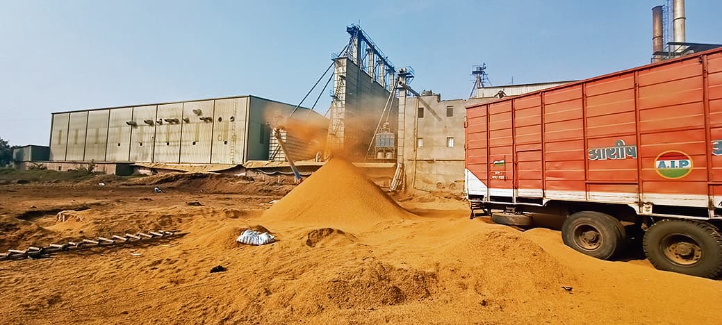 जिले के 14587 किसानों से लगभग 1.14 एमटी धान की हुई खरीद