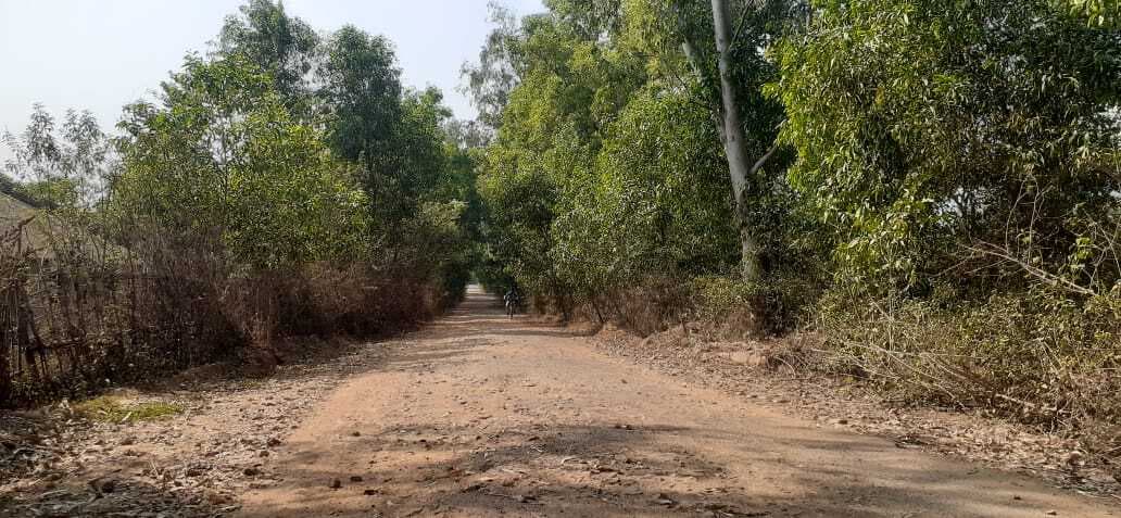 East Singhbhum news : वन विभाग व ग्रामसभा से एनओसी लिए बिना विस चुनाव से पहले कर दिया शिलान्यास, निर्माण अटका