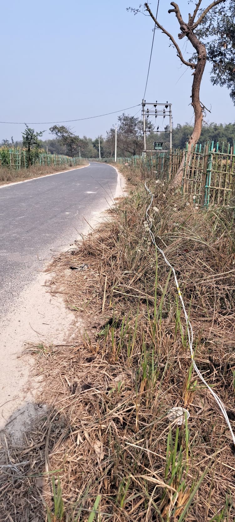 खेत तक पोल नहीं, सड़क किनारे तार बिछाकर पटवन कर रहे किसान