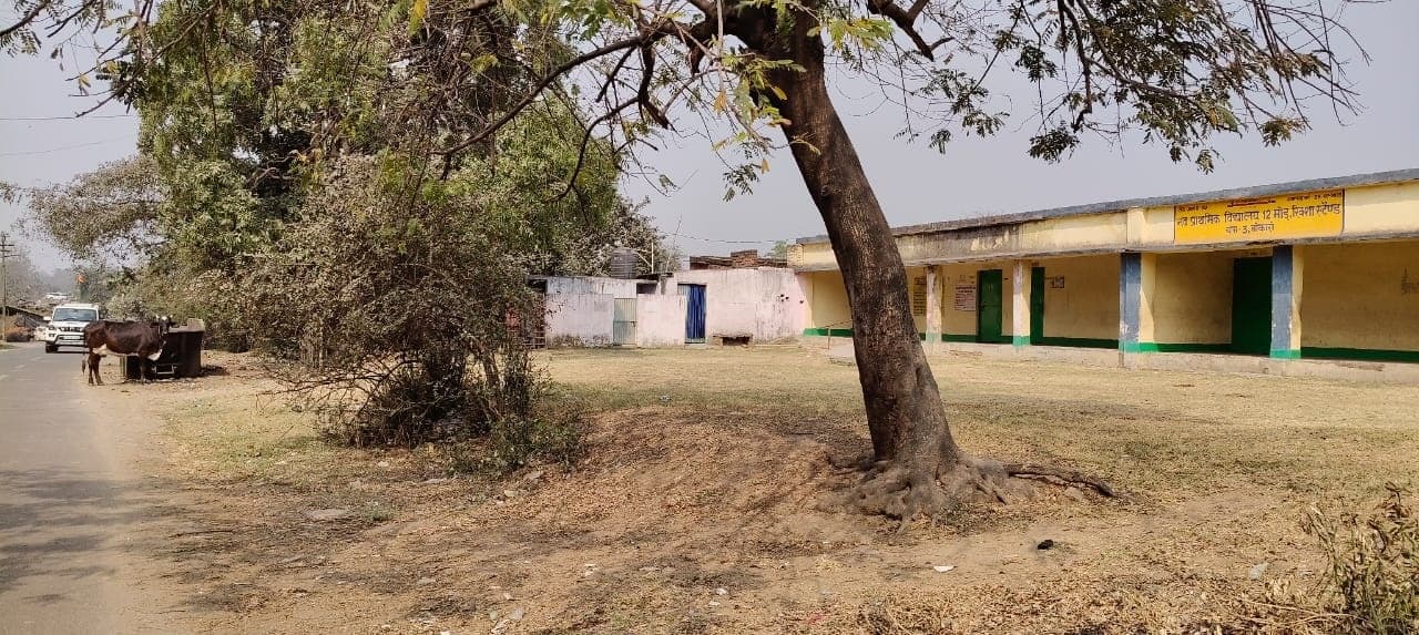 Bokaro News : सड़क किनारे बाउंड्रीविहीन विद्यालय, असुरक्षित हैं बच्चे