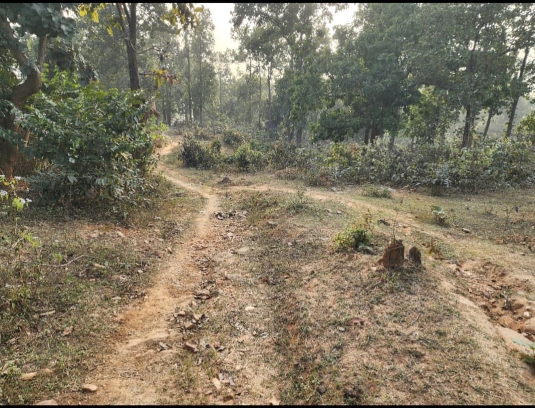 Giridih News : कोई बीमार पड़ा, तो खाट पर ले जाते हैं परिजन