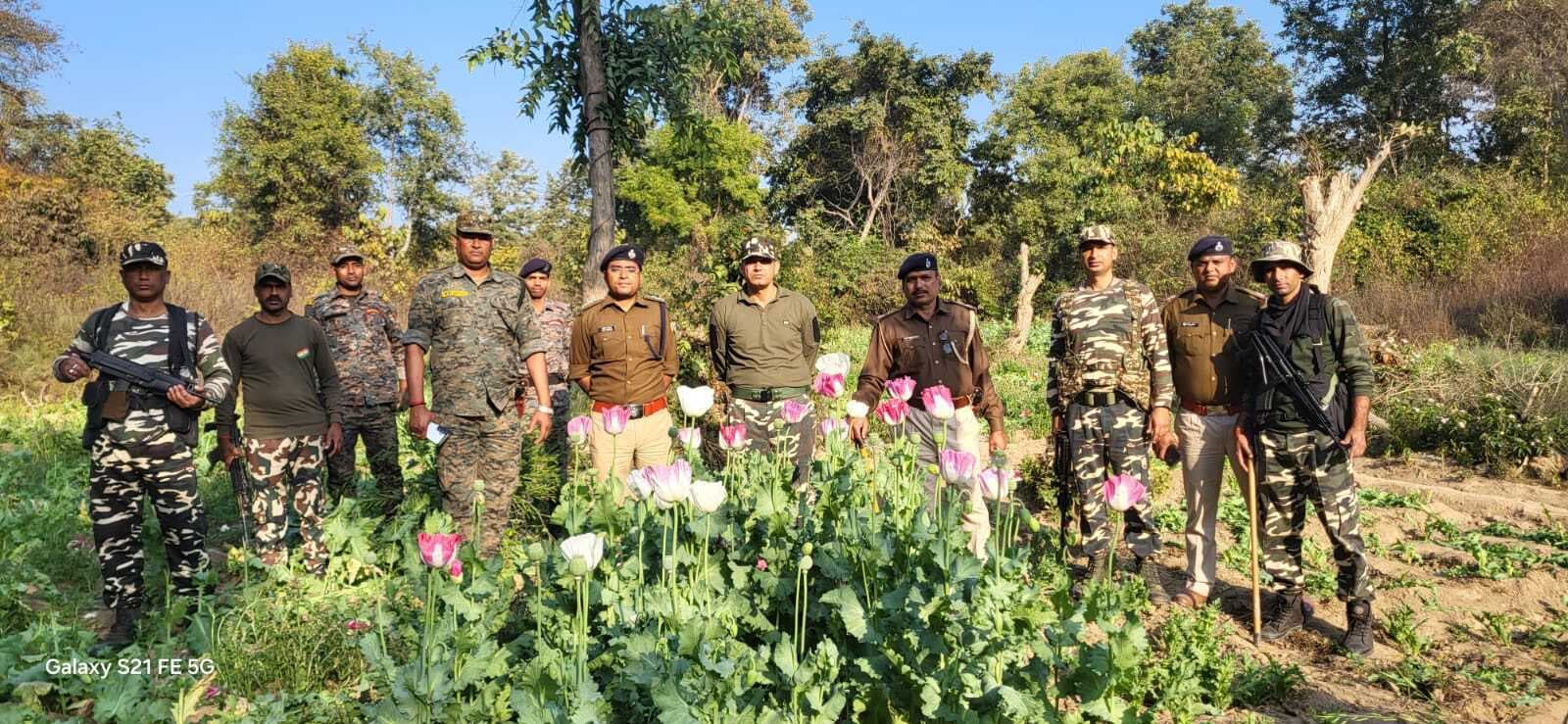 Aurangabad News : तीन एकड़ में अफीम की फसल को किया नष्ट