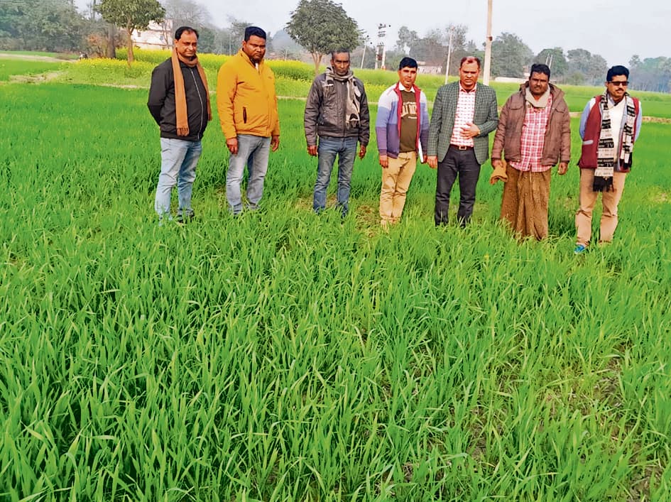 Chhapra News : खेतों में अब ड्रोन से होगा उर्वरक का छिड़काव