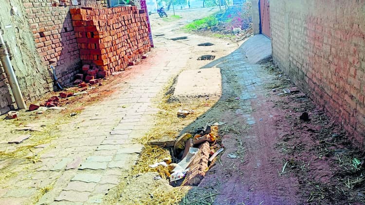 Gaya News : नैली के वार्ड नंबर सात में 200 मीटर की सड़क में 20 से अधिक गड्ढे