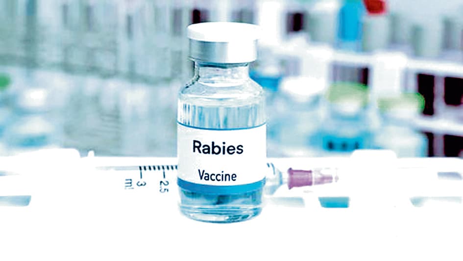 एंटी रेबीज वैक्सीन न रहने पर रामपुरहाट मेडिकल कॉलेज एंड हॉस्पिटल में रोगियों की बढ़ी समस्या