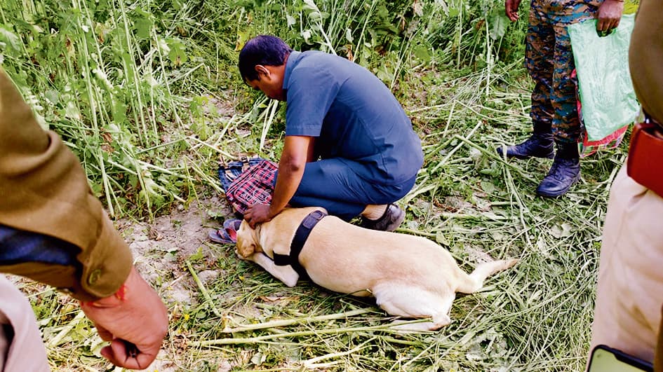 Gopalganj News  : जमीन विवाद में हुई जुड़वा बहनों ऋषि और ऋषिका की हत्या, हिरासत में लिये गये तीन लोग, जल्द खुलेगा राज