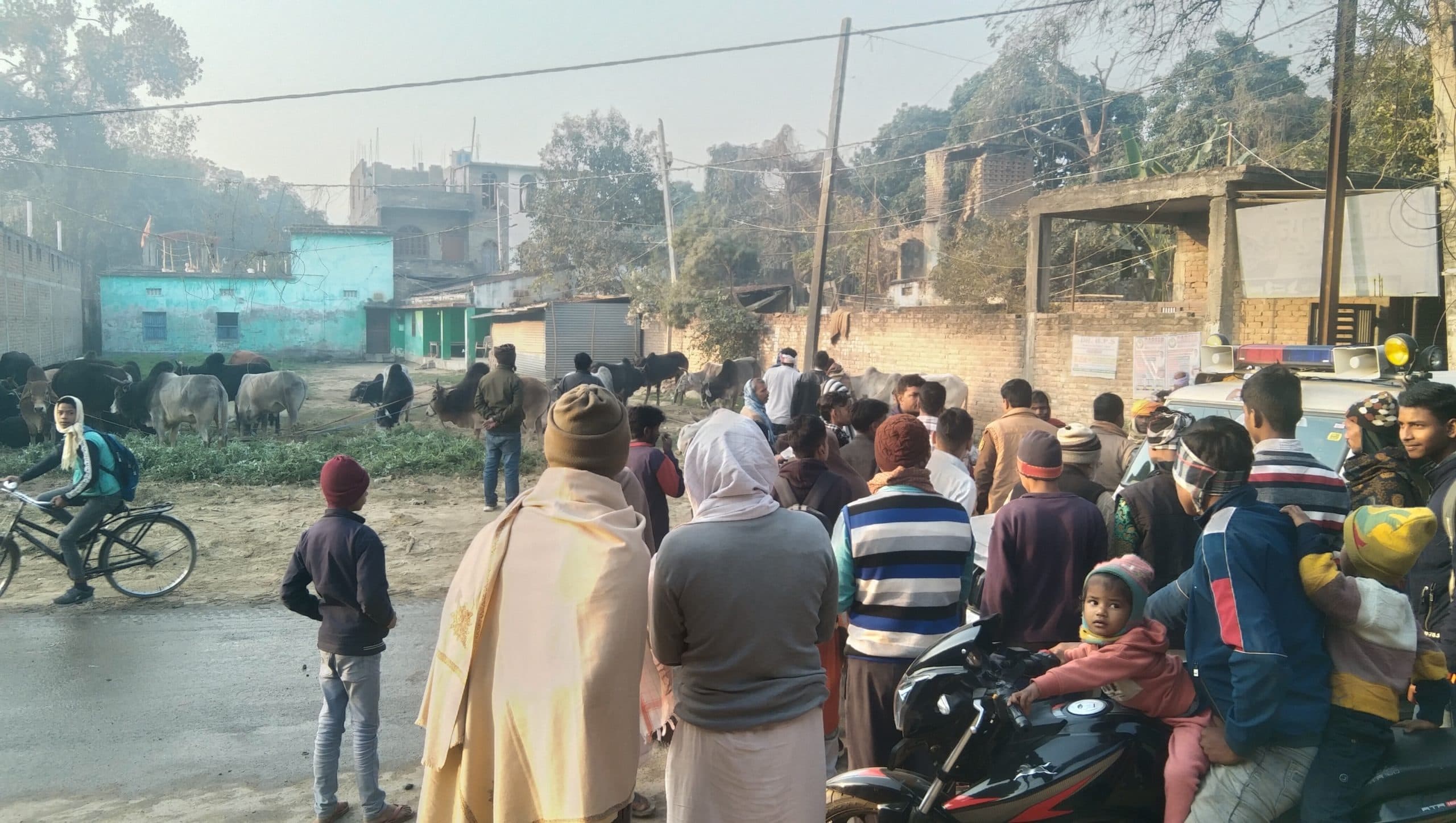 पशु तस्करी का खुलासा, तस्कर ने की फायरिंग, प्राथमिकी