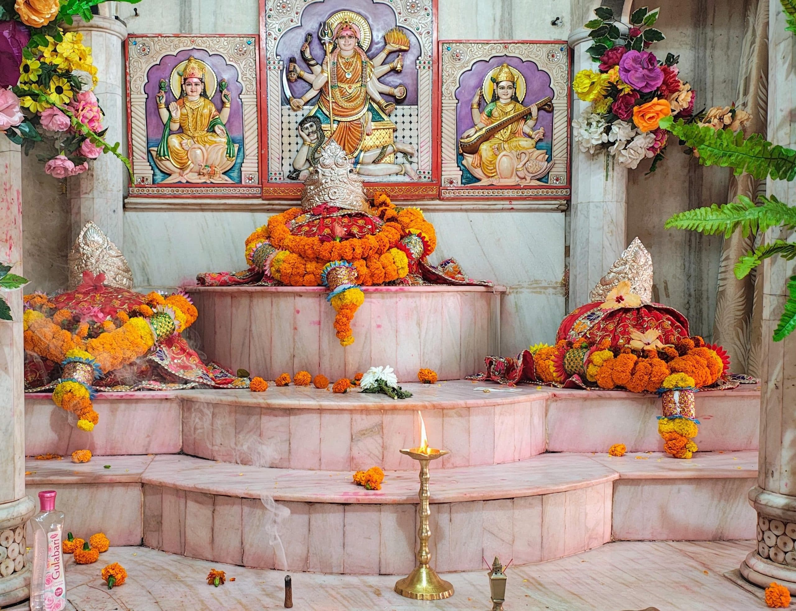 माघी पूर्णिमा: बिंदुवासिनी मंदिर में उमड़े श्रद्धालु