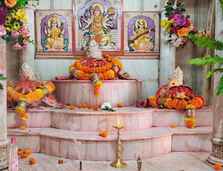 माघी पूर्णिमा: बिंदुवासिनी मंदिर में उमड़े श्रद्धालु