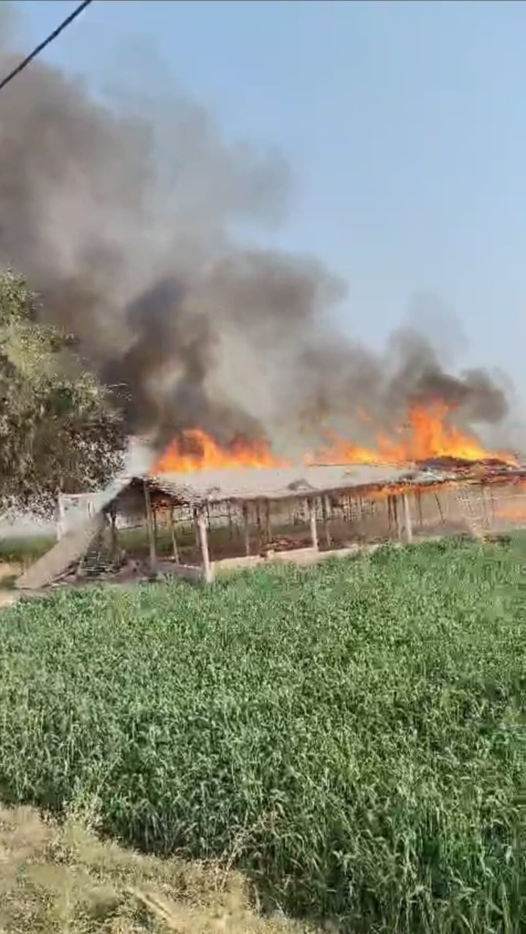 बनती रही अग्निशामक की गाड़िया, धू-धू कर जल गया पॉल्टीफॉर्म