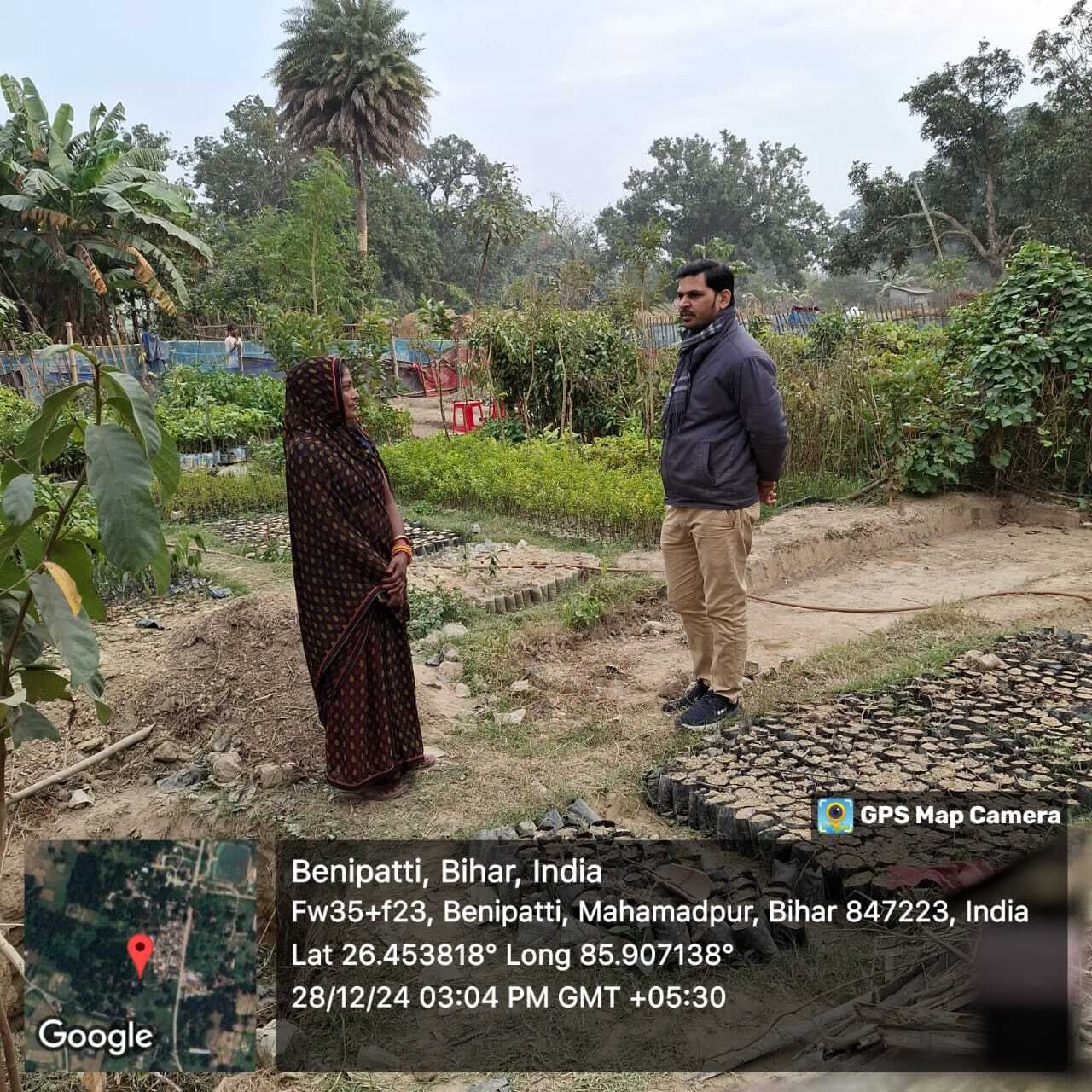 Madhubani News : जीविका दीदी की नर्सरी से मधुबनी की धरा में आ रही हरियाली