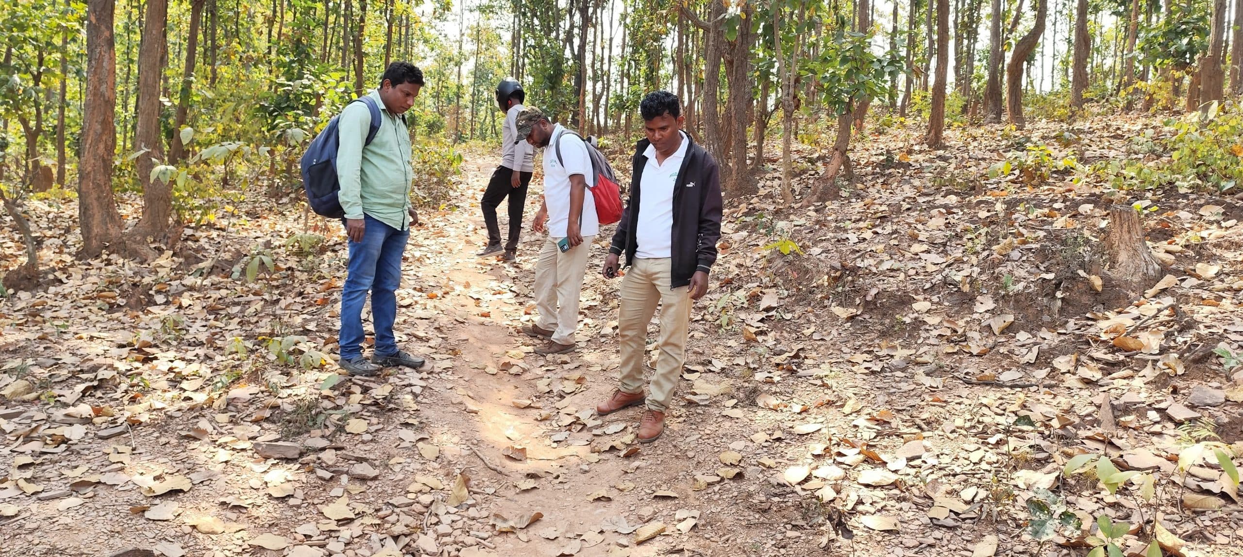 East Singhbhum : डुमकाकोचा पहुंचा बाघ, खौफ में जंगल नहीं जा रहे ग्रामीण, बैल-बकरी को बांधा