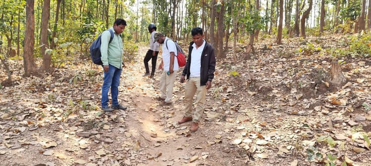 East Singhbhum : डुमकाकोचा पहुंचा बाघ, खौफ में जंगल नहीं जा रहे ग्रामीण, बैल-बकरी को बांधा