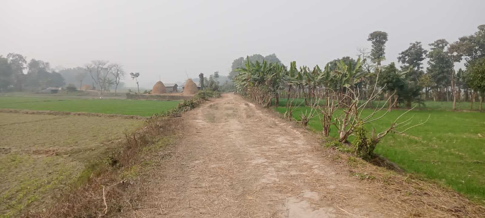 प्रभात खास: कटिहार जिले में 578.33 करोड से बनेगी 296 ग्रामीण सड़क