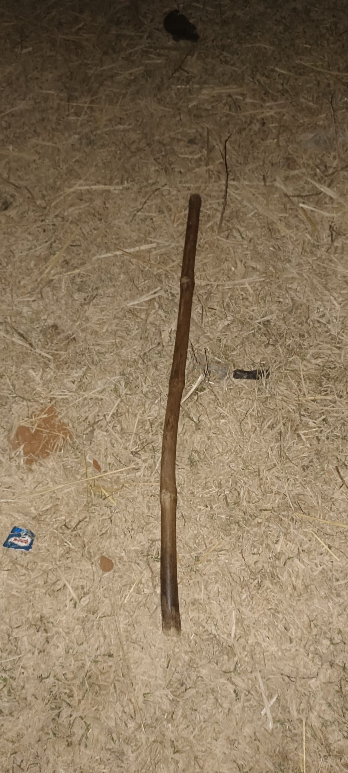 Deoghr News : डंडे से पीट-पीटकर वृद्धा की हत्या