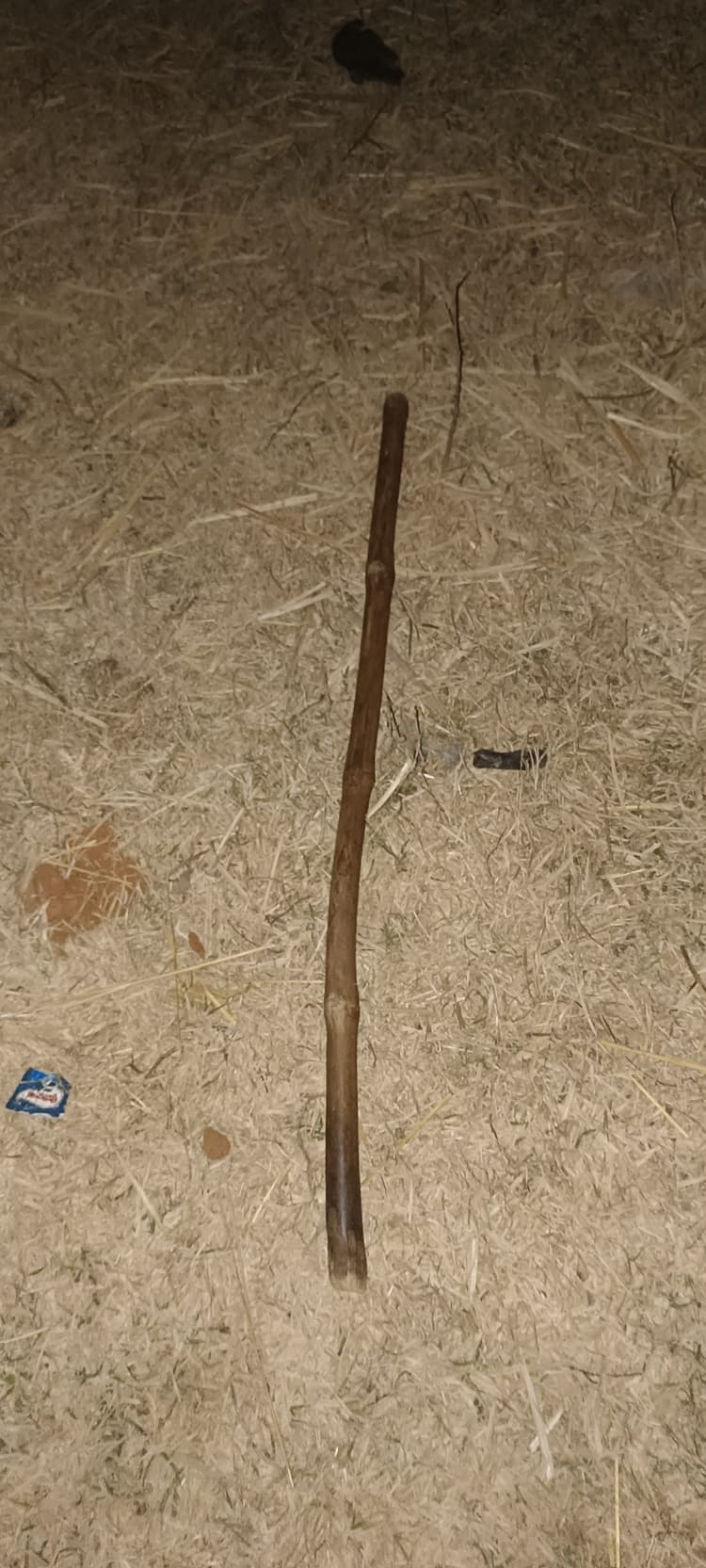 Deoghr News : डंडे से पीट-पीटकर वृद्धा की हत्या