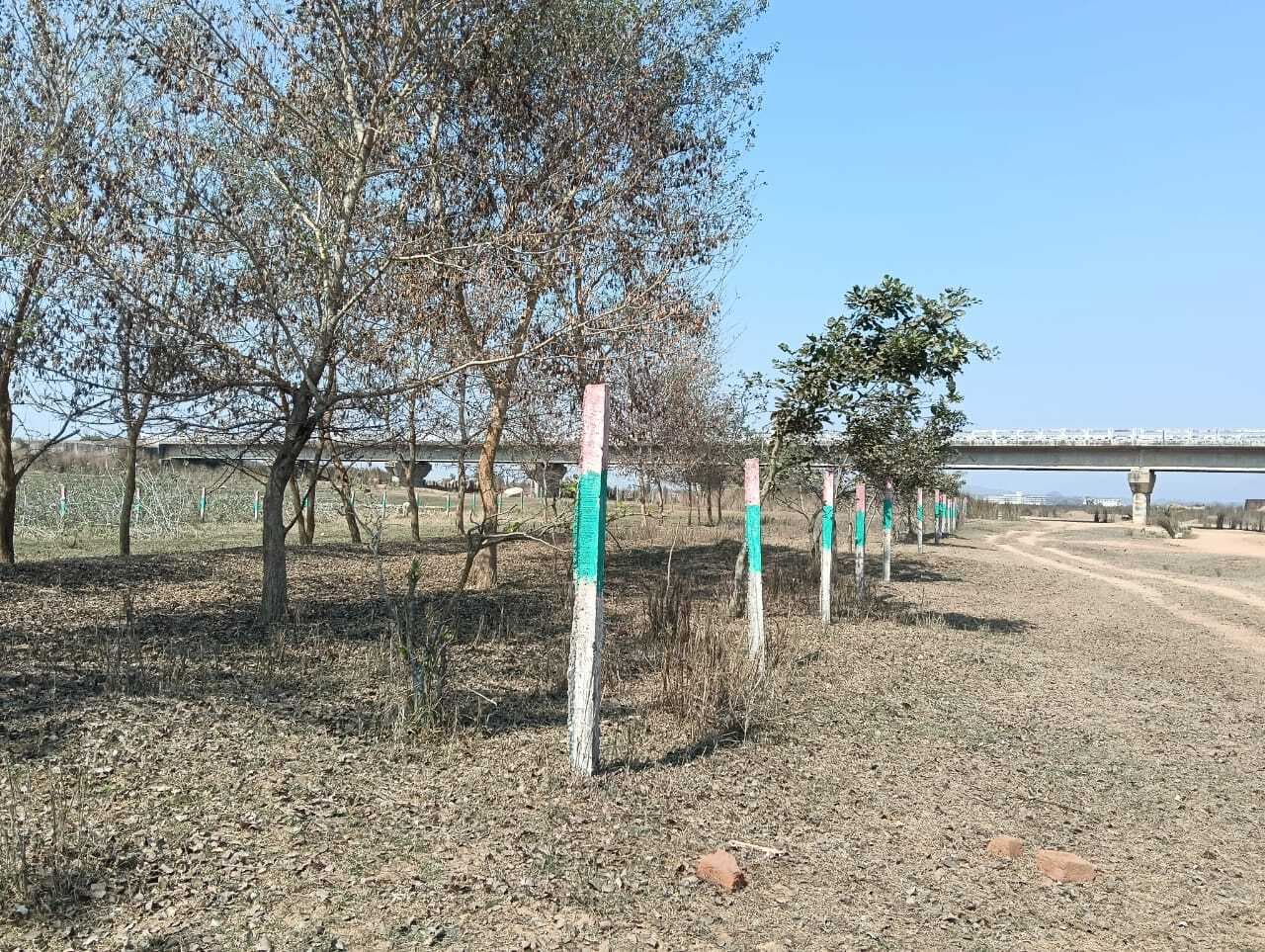 असामाजिक तत्व कर रहे कंटीले तार की चोरी