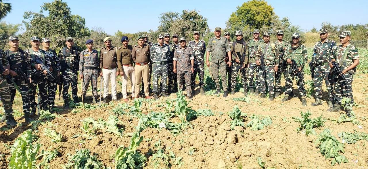 Aurangabad News : छह एकड़ में हो रही थी अफीम की खेती, पुलिस ने किया नष्ट