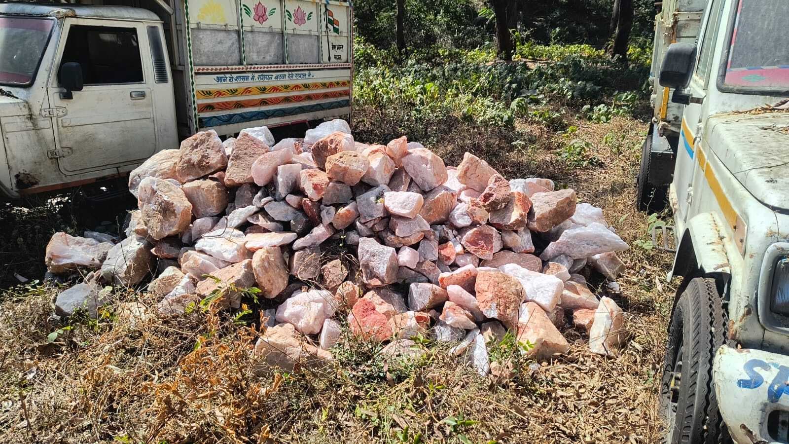 Giridih News :वन विभाग ने जब्त किया 200 सीएफटी सफेद पत्थर
