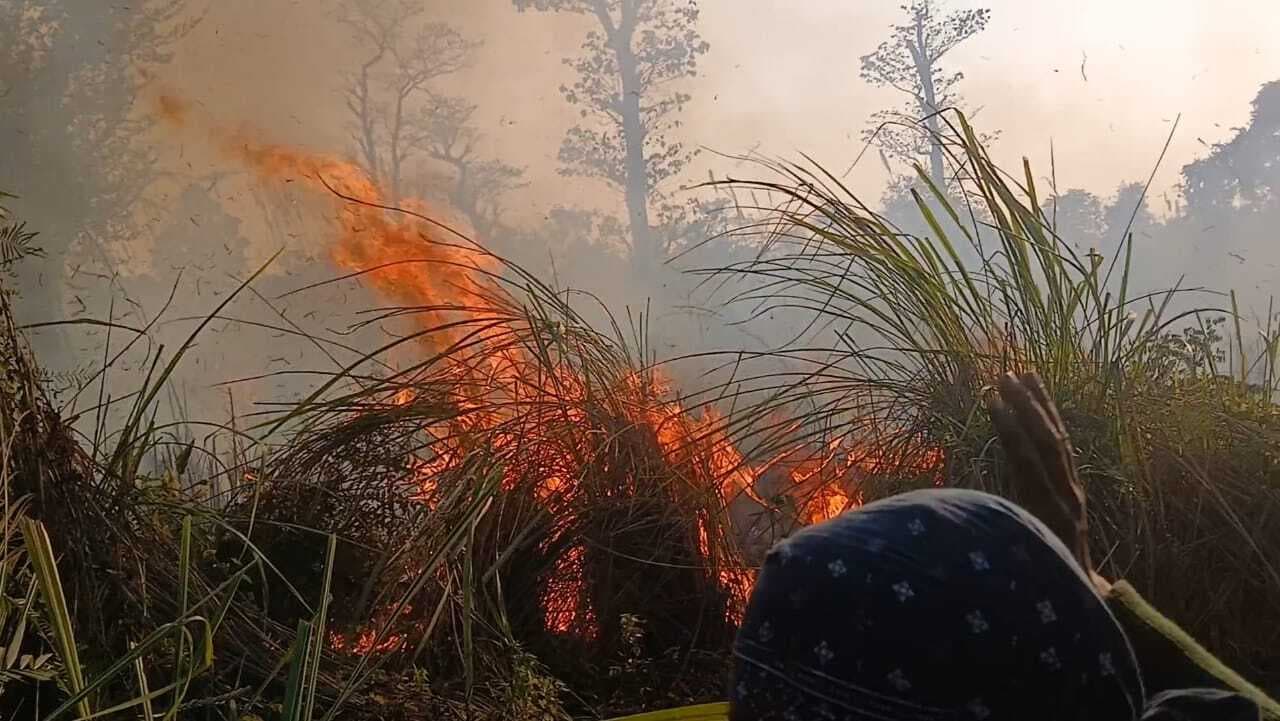 मदनपुर जंगल में लगी आग, वनकर्मियों ने मौके पर पहुंच कर आग पर पाया काबू