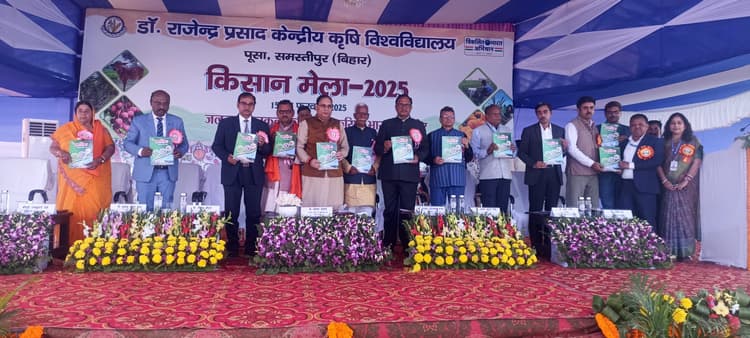 अंतर्वर्ती खेती के तरफ किसानों को झुकने की जरूरत : अजय